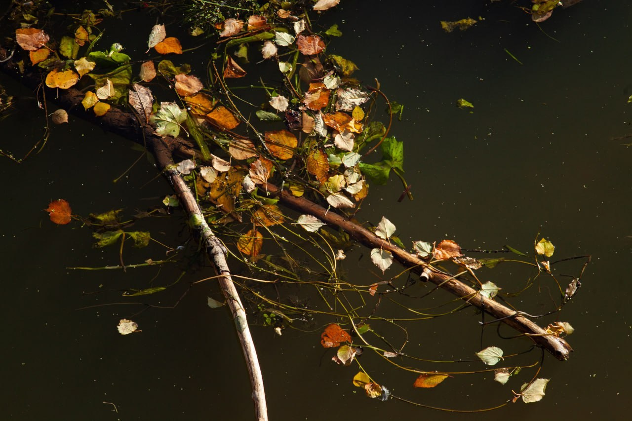 Автор: Александр Прокофьев