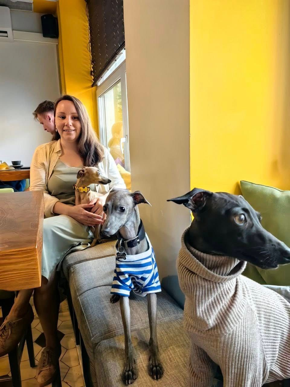 Профессиональный питомник левреток РКФ/FCI ASTI SAPPHIRE 💎 Сочи|Санкт-Петербург