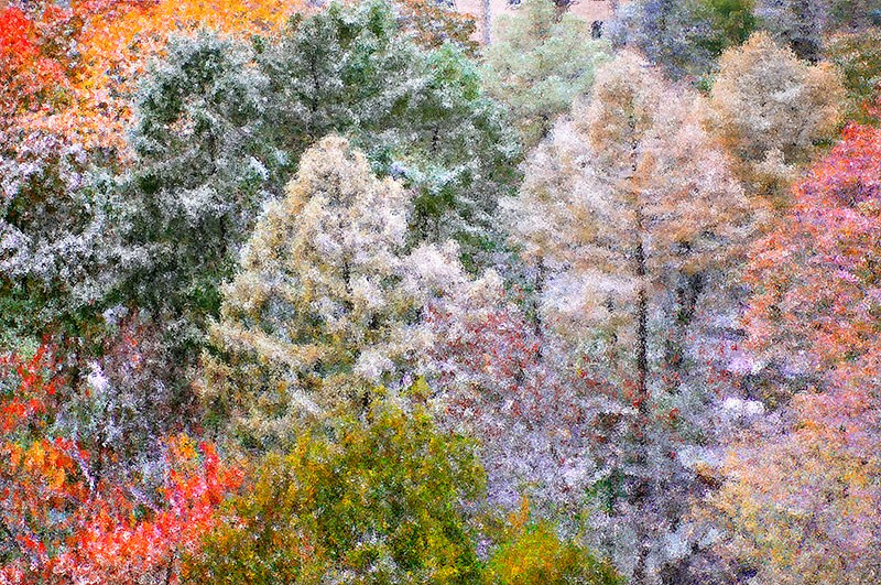 Art композиции. Движение жизни. Фотокорреспондент Александр Поляков. Москва