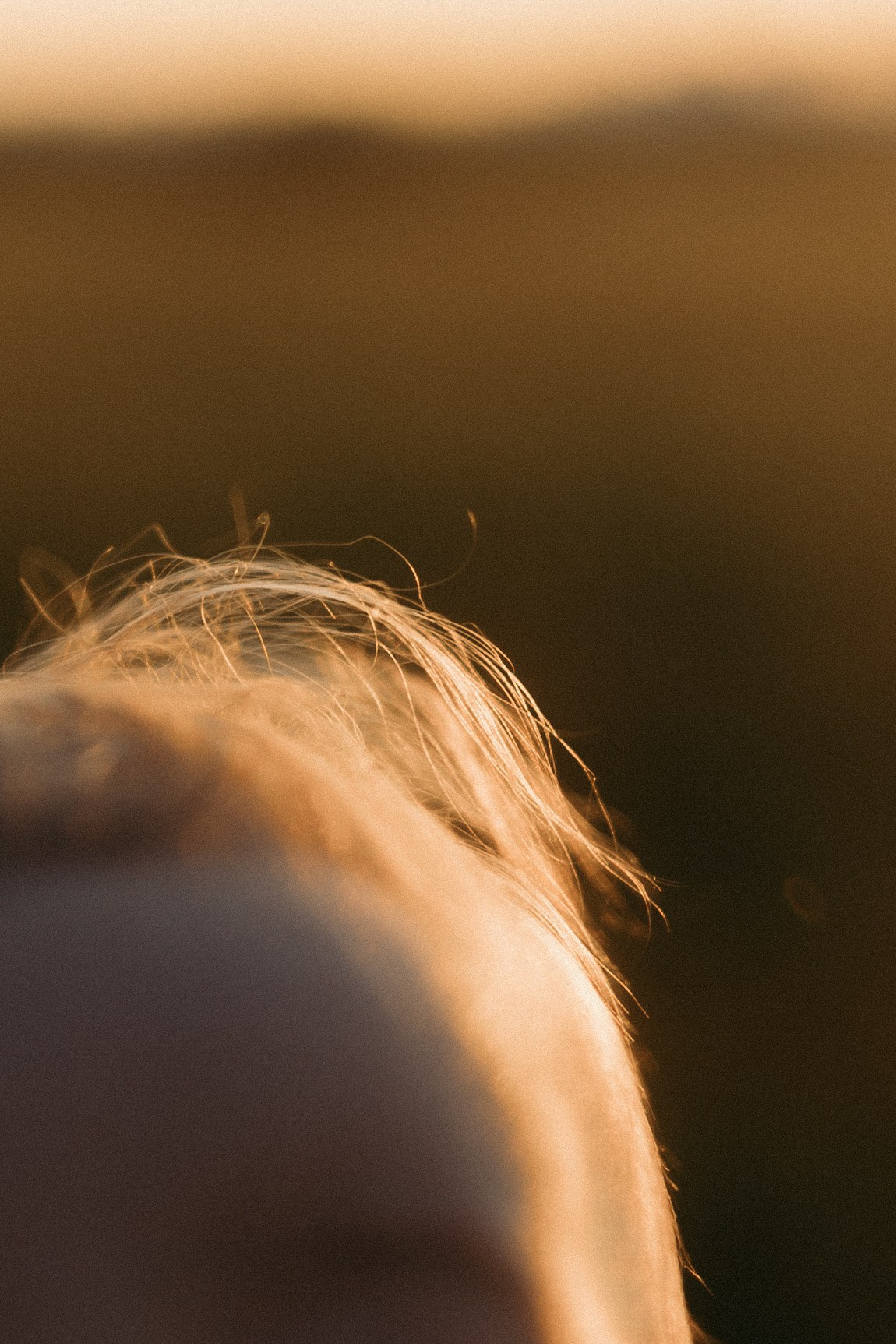 Маша и Адель. Ланемец Юлия — фотограф Волгоград/Волжский