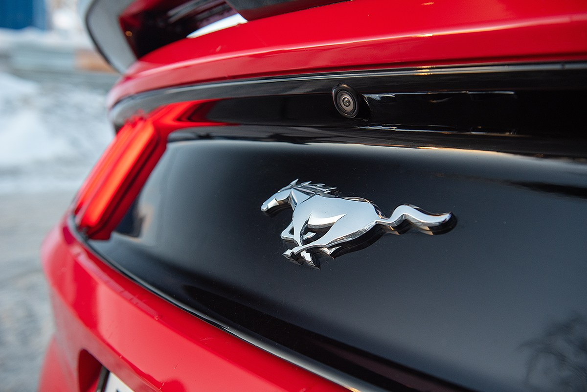 Mustang. Семейный и коммерческий фотограф в Сочи Александр Бодунов