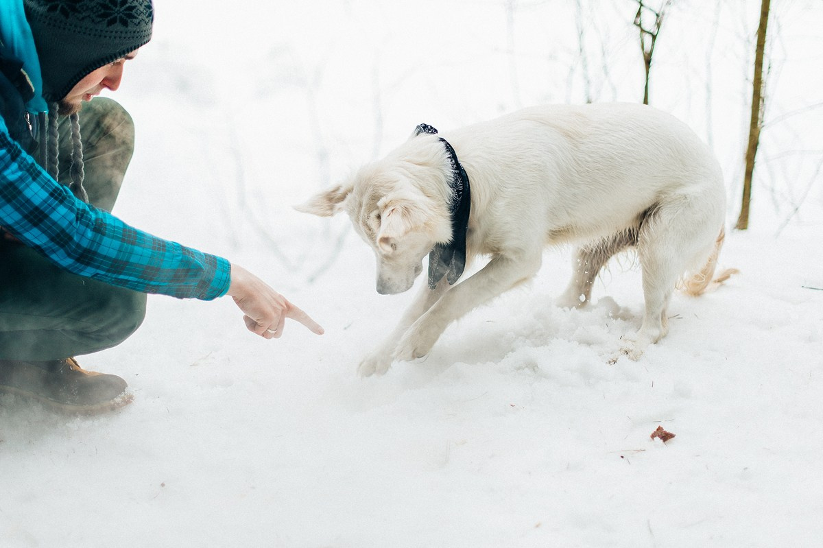 ШАНТИ и СЕМЬЯ. Свадебный и семейный фотограф РИТА БОЧКАРЁВА
