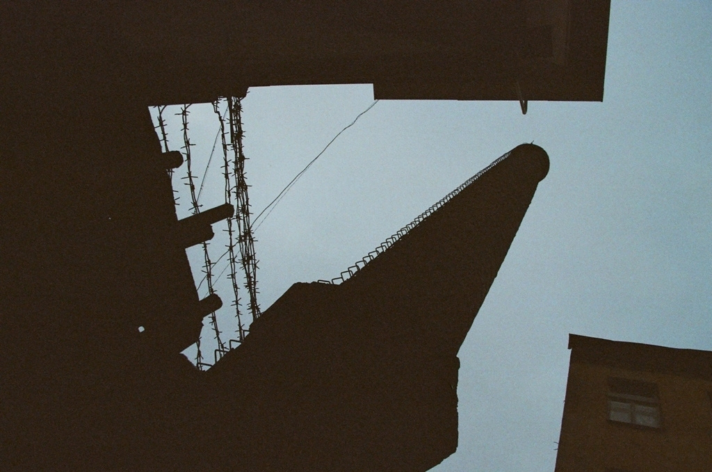 Возвращение. Return. Фотограф Ира Соколова Санкт-Петербург