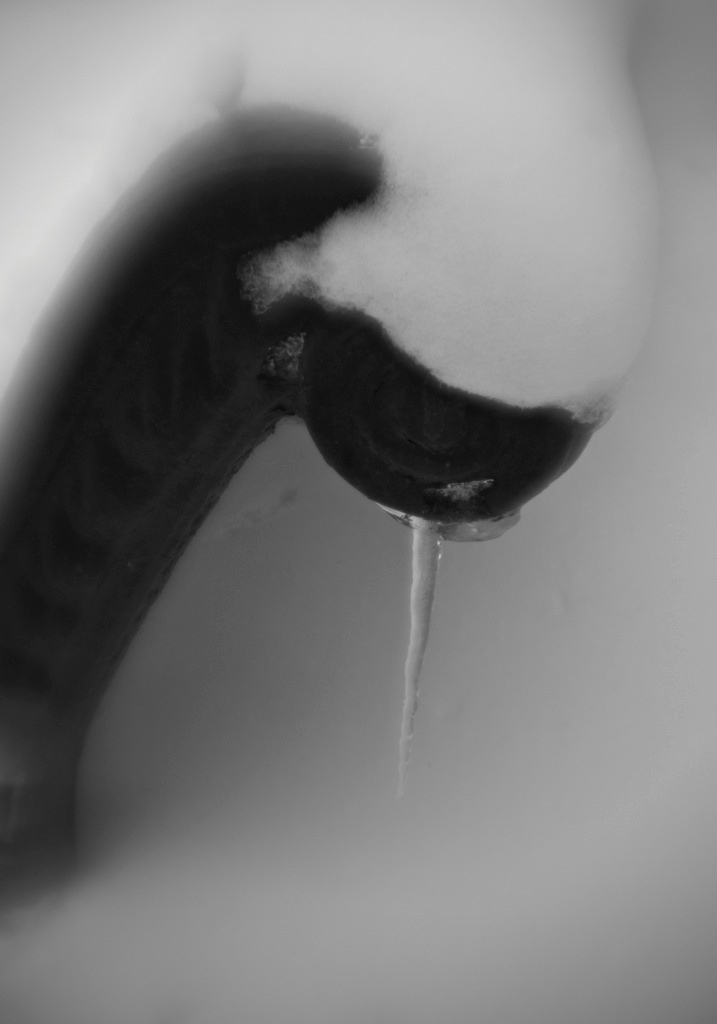 Пепел. Ash. Фотограф Ира Соколова Санкт-Петербург