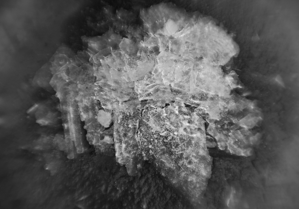 Пепел. Ash. Фотограф Ира Соколова Санкт-Петербург