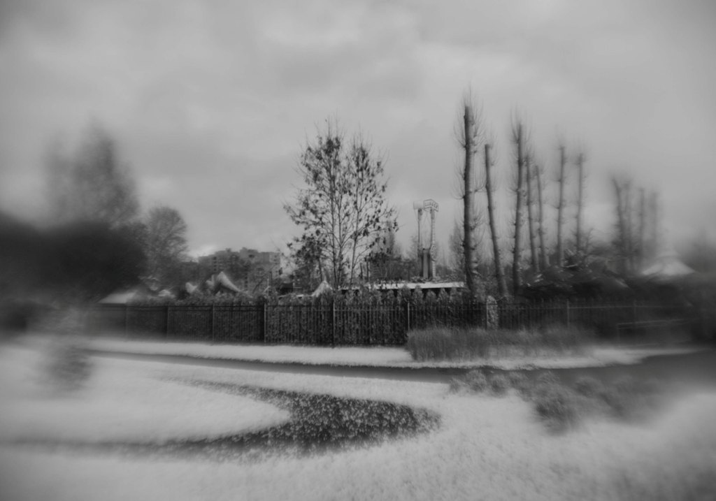 Пепел. Ash. Фотограф Ира Соколова Санкт-Петербург