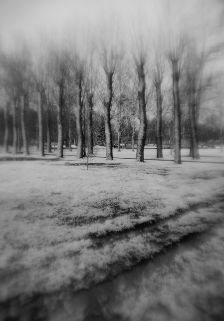 Пепел. Ash. Фотограф Ира Соколова Санкт-Петербург