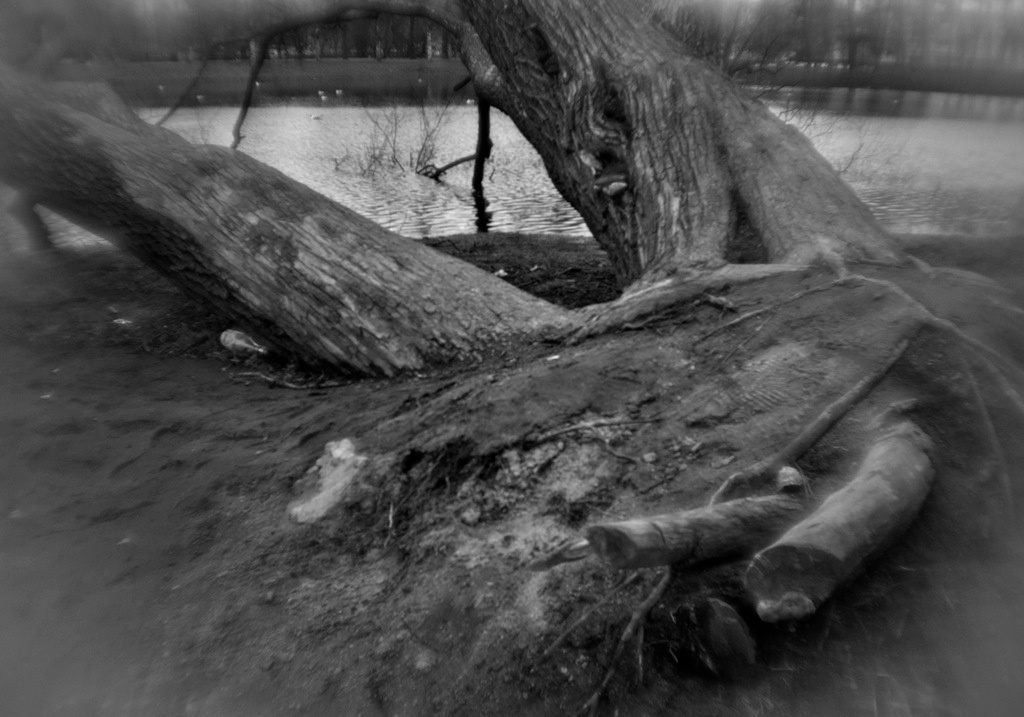 Пепел. Ash. Фотограф Ира Соколова Санкт-Петербург