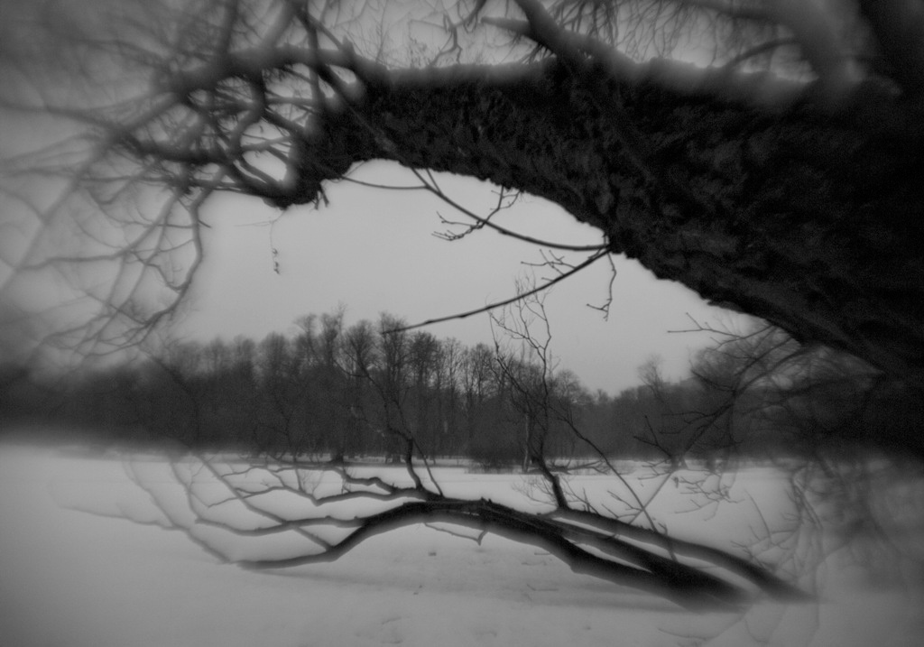 Пепел. Ash. Фотограф Ира Соколова Санкт-Петербург