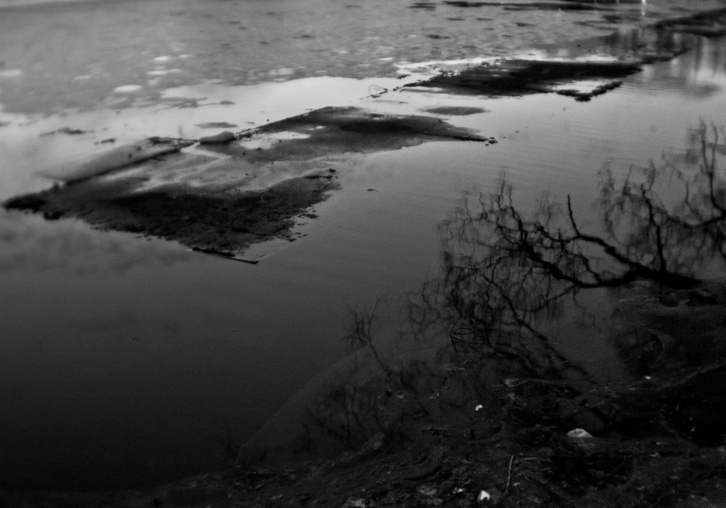 Пепел. Ash. Фотограф Ира Соколова Санкт-Петербург