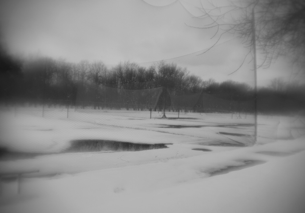 Пепел. Ash. Фотограф Ира Соколова Санкт-Петербург