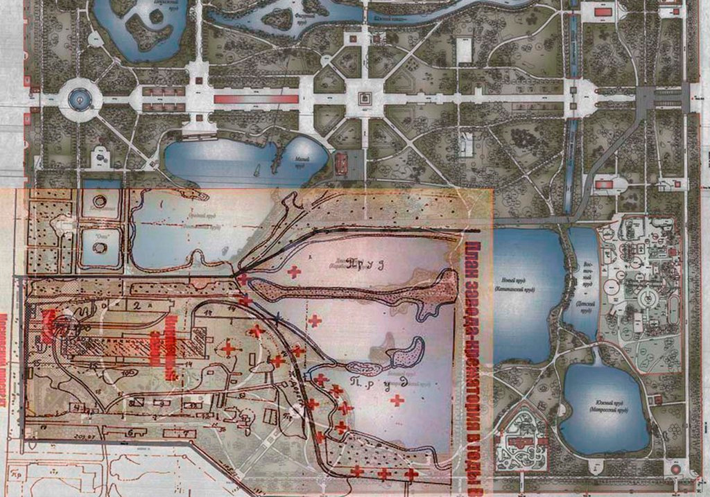 Пепел. Ash. Фотограф Ира Соколова Санкт-Петербург