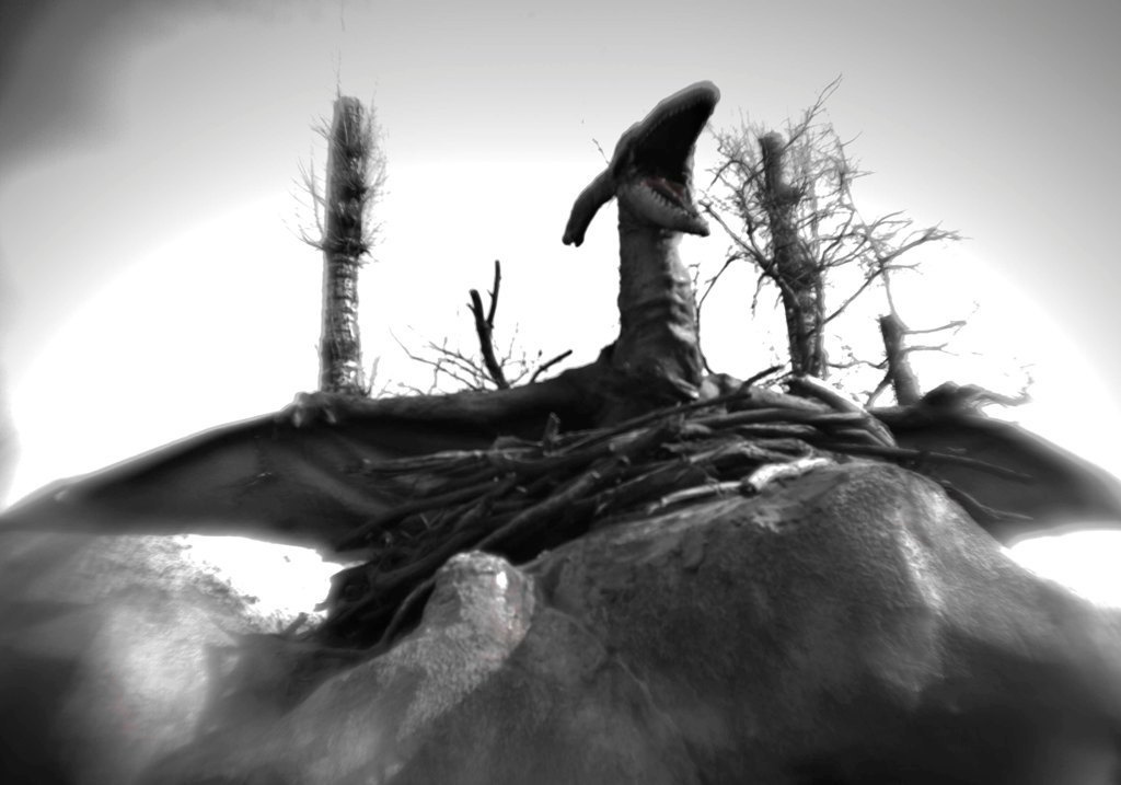 Пепел. Ash. Фотограф Ира Соколова Санкт-Петербург