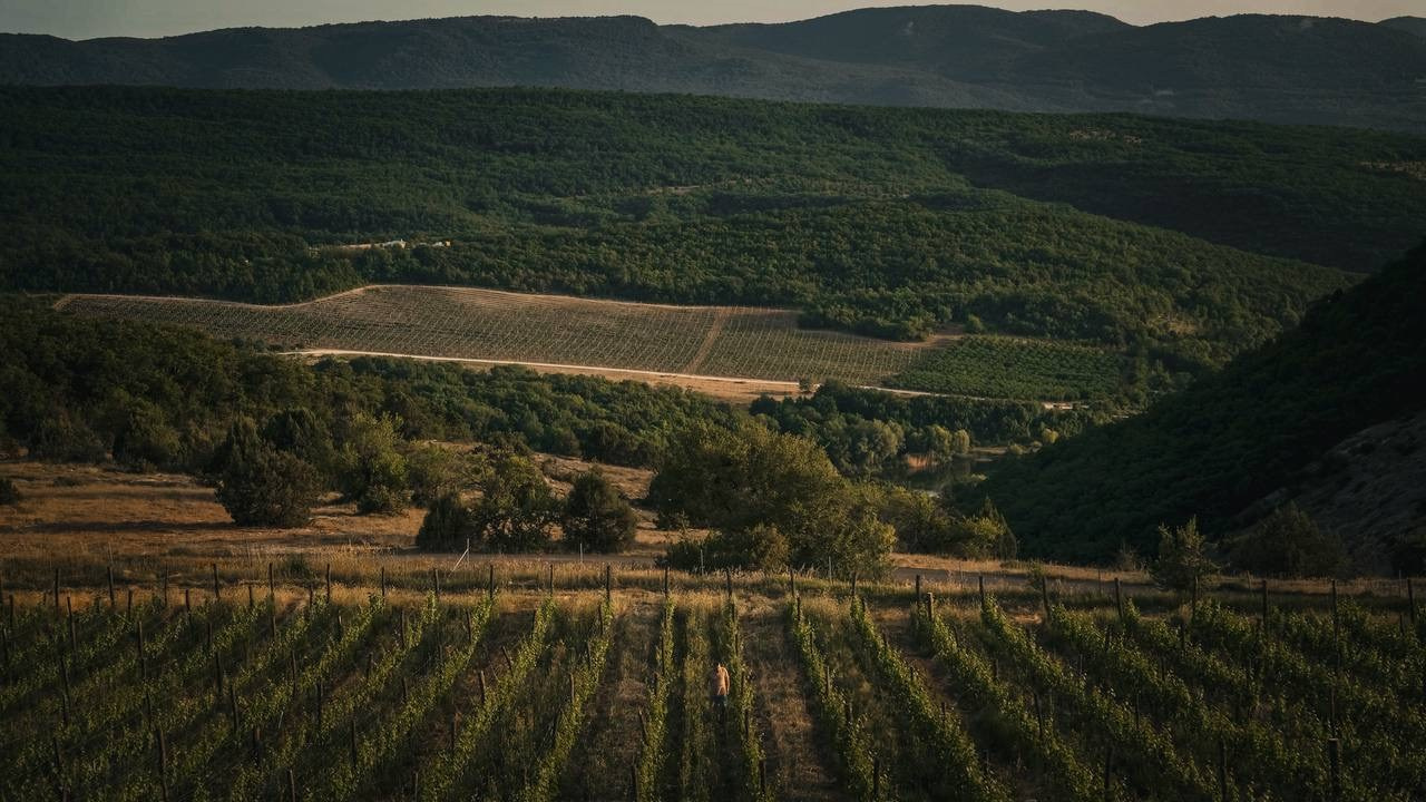 Документалистика. Фотохудожник в Санкт-Петербурге Вурал Мелиса