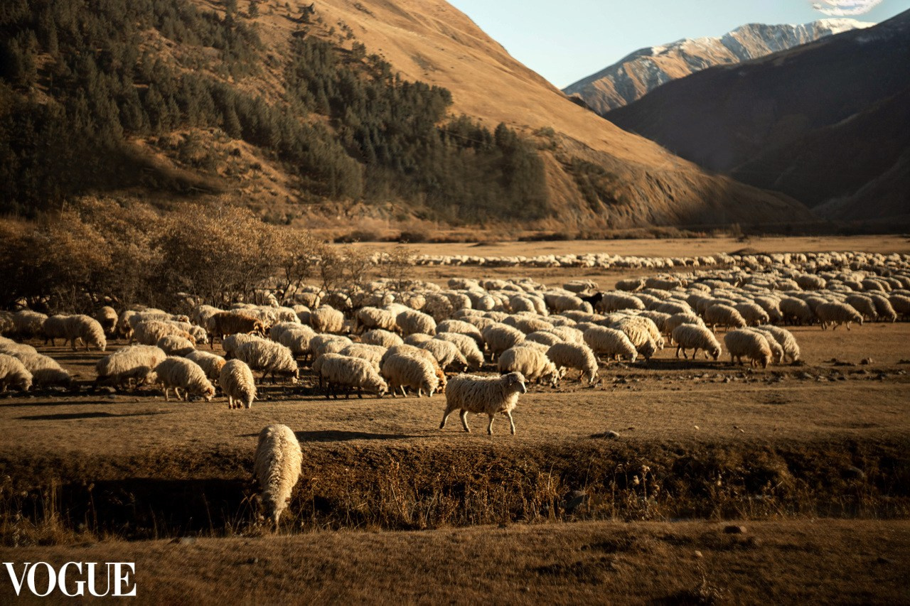 Публикации. Детский и семейный фотограф в Твери Ольга Крестьянинова