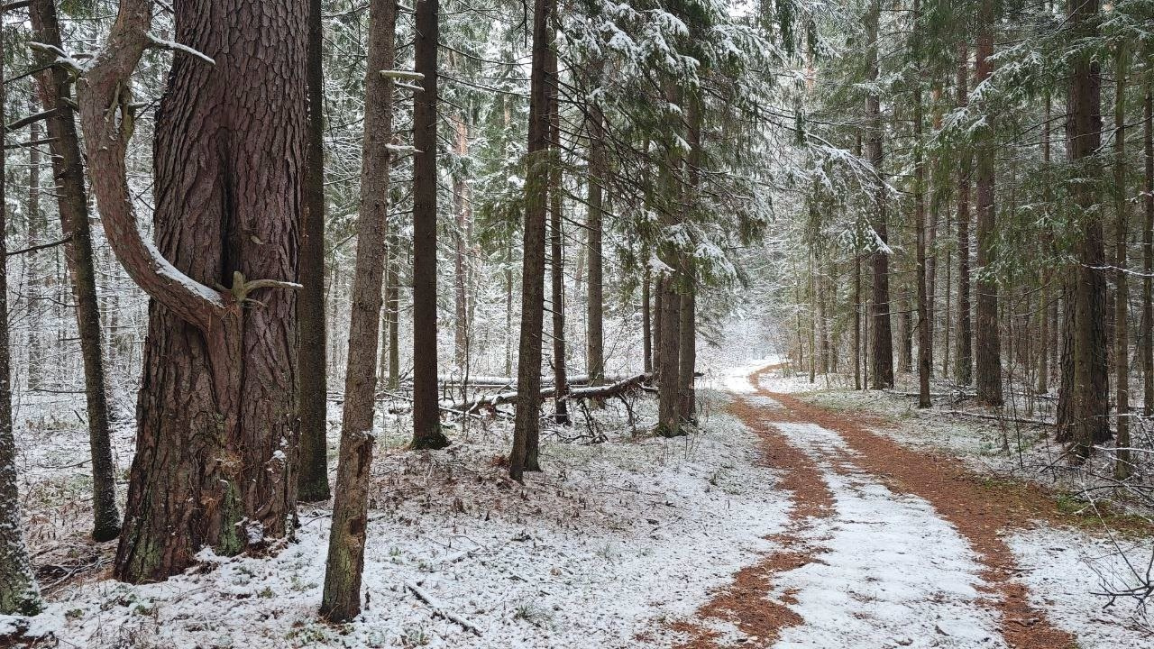 Национальный парк «Смольный». Кинокомиссия Республики Мордовия