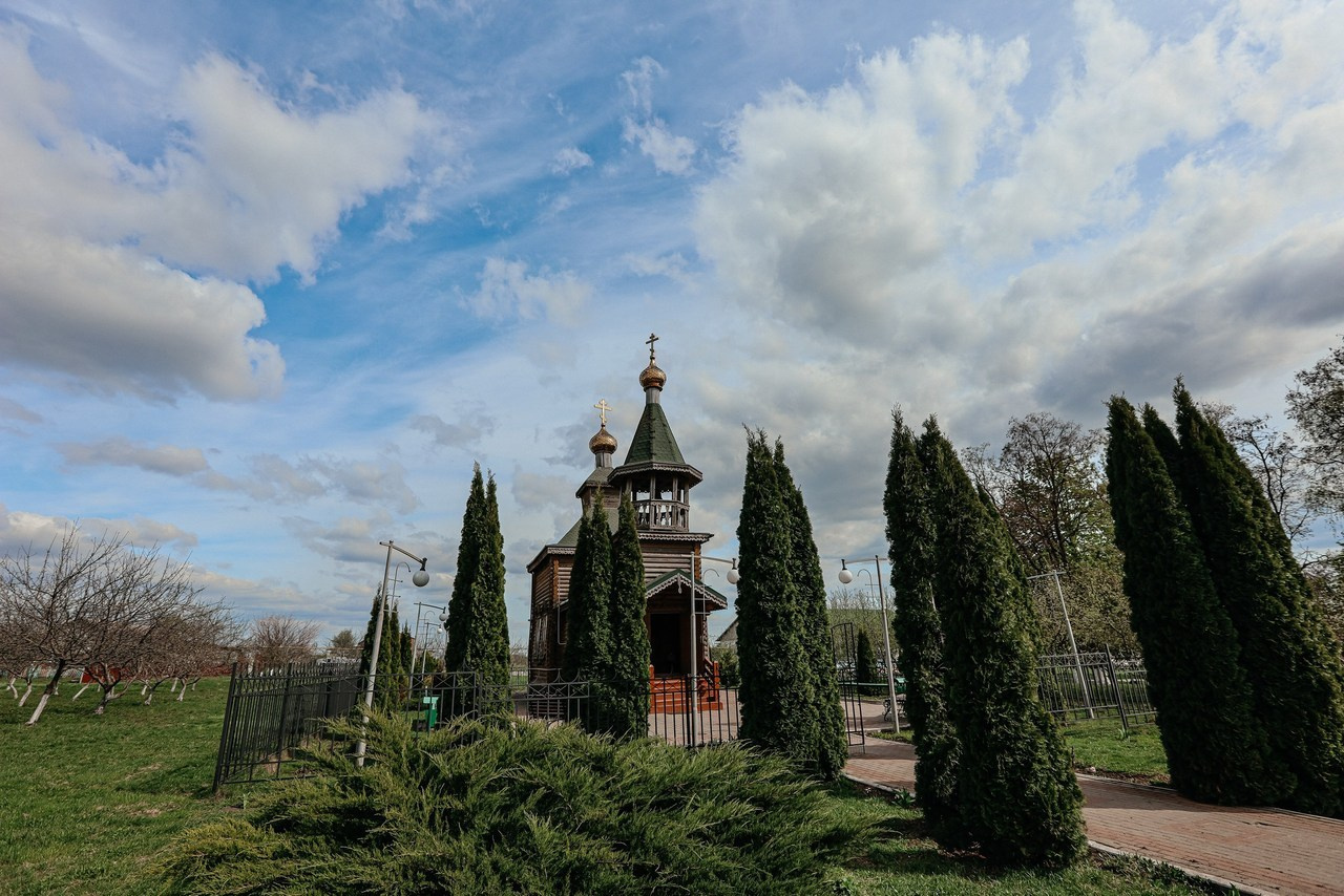 Отзывы. Свадебный и семейный фотограф Захарова Юлия