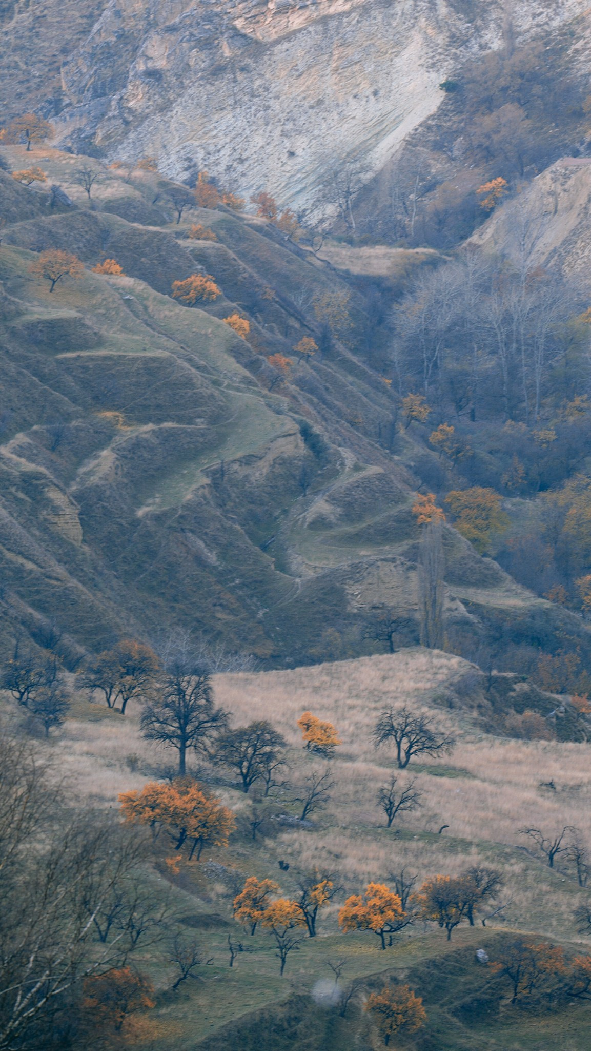 Дагестан 2023. Человек с фотокамерой