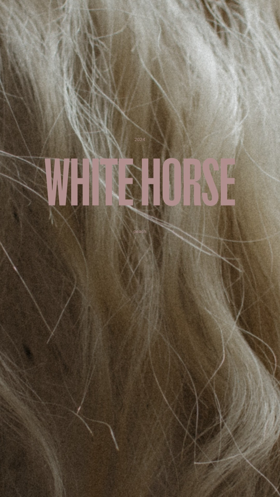 Marianna. Свадебный фотограф Москва и ЮГ