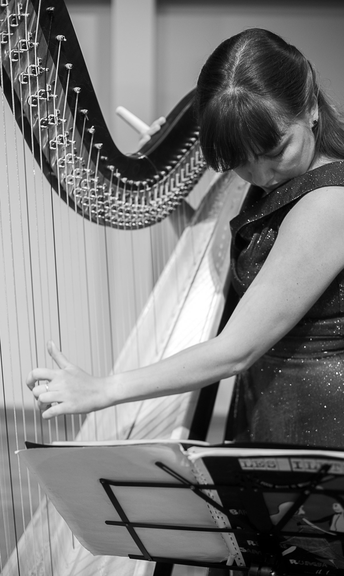 Арфа и маримба. SaGaFOTO.ru