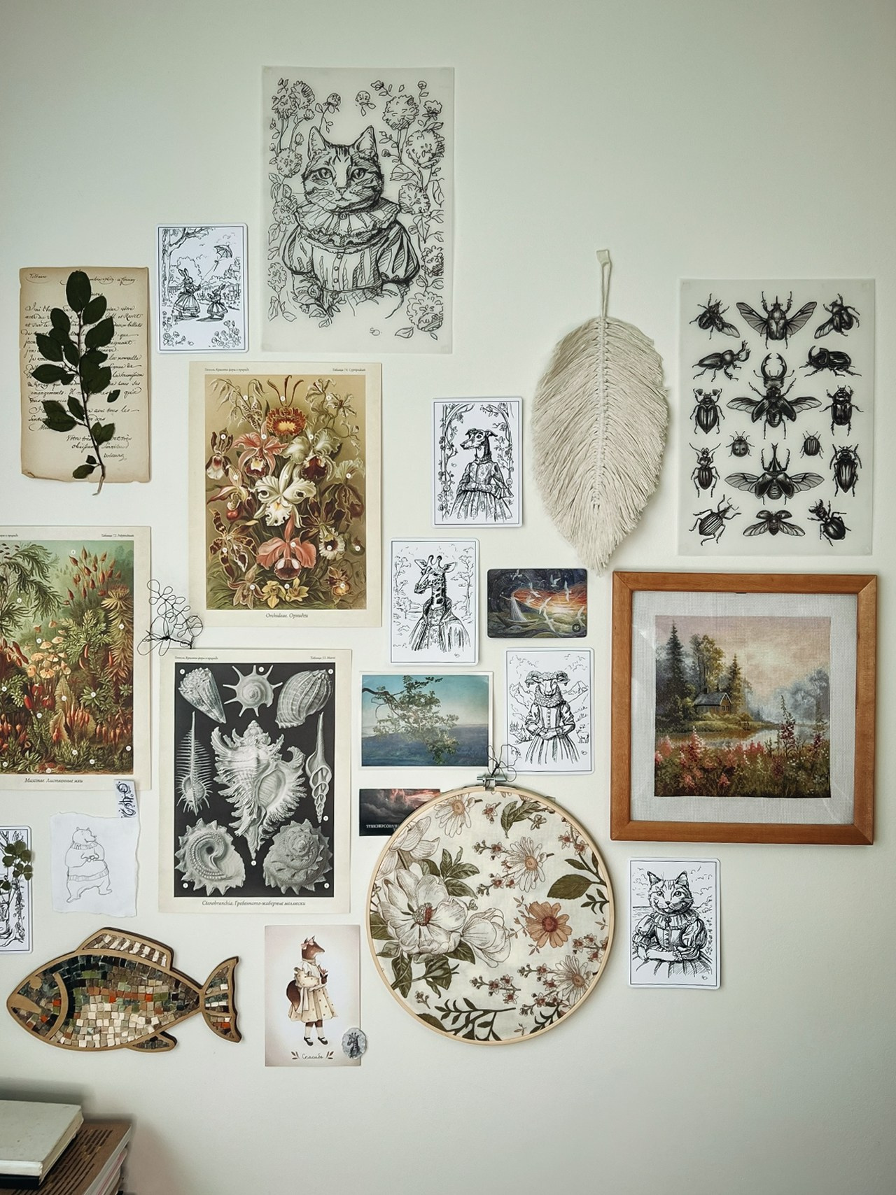 Иллюстрация. Иллюстратор, Фотограф, Теддист Ольга Сальманович