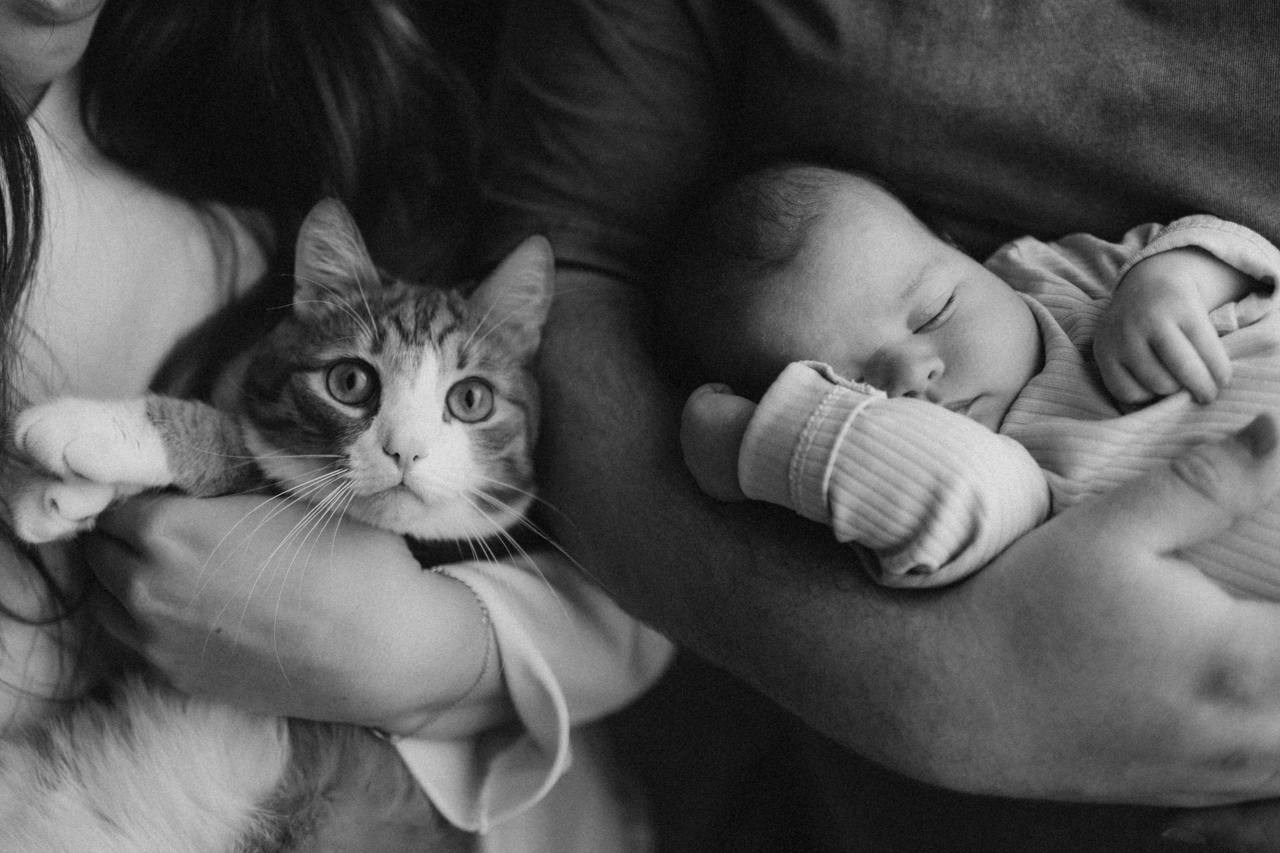 ФОТОКУРС «Хранители времени 2.0». Семейный и домашний фотограф в Сургуте|Кристина Крапивина