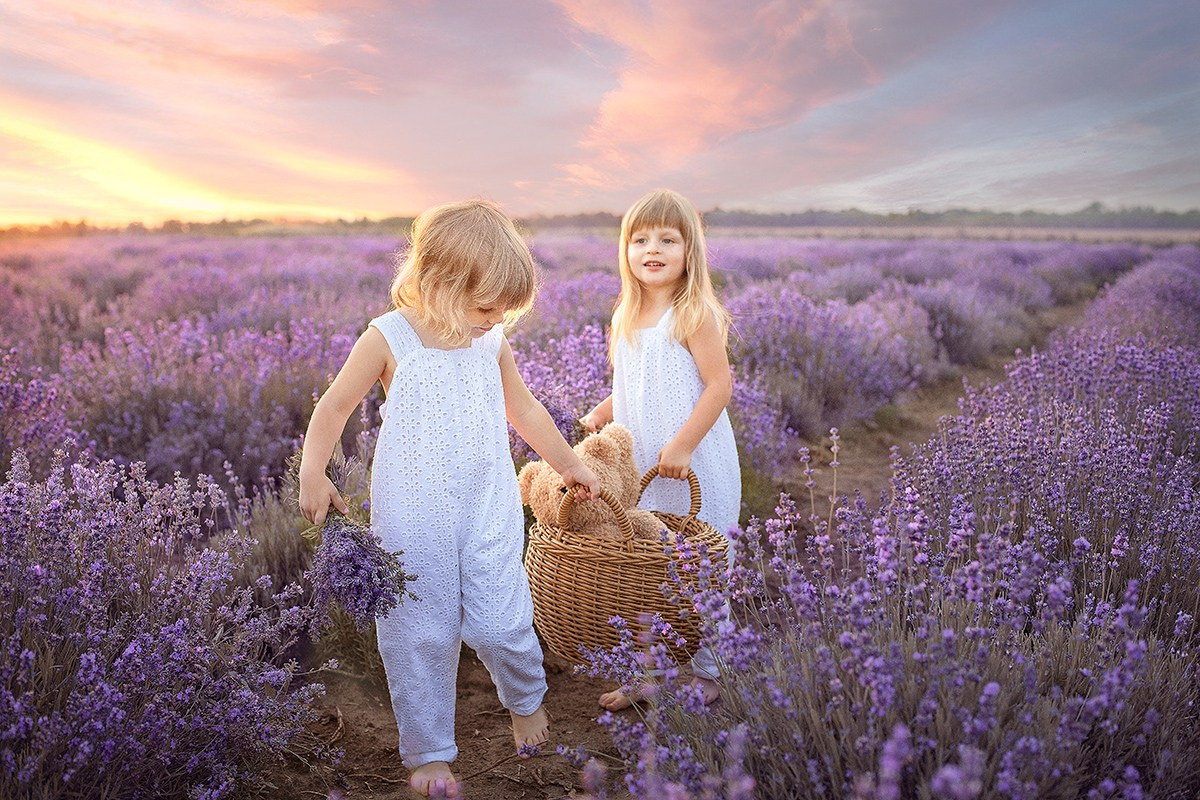 Лавандовые поля. Фотограф в Волгодонске Елена Орешкина