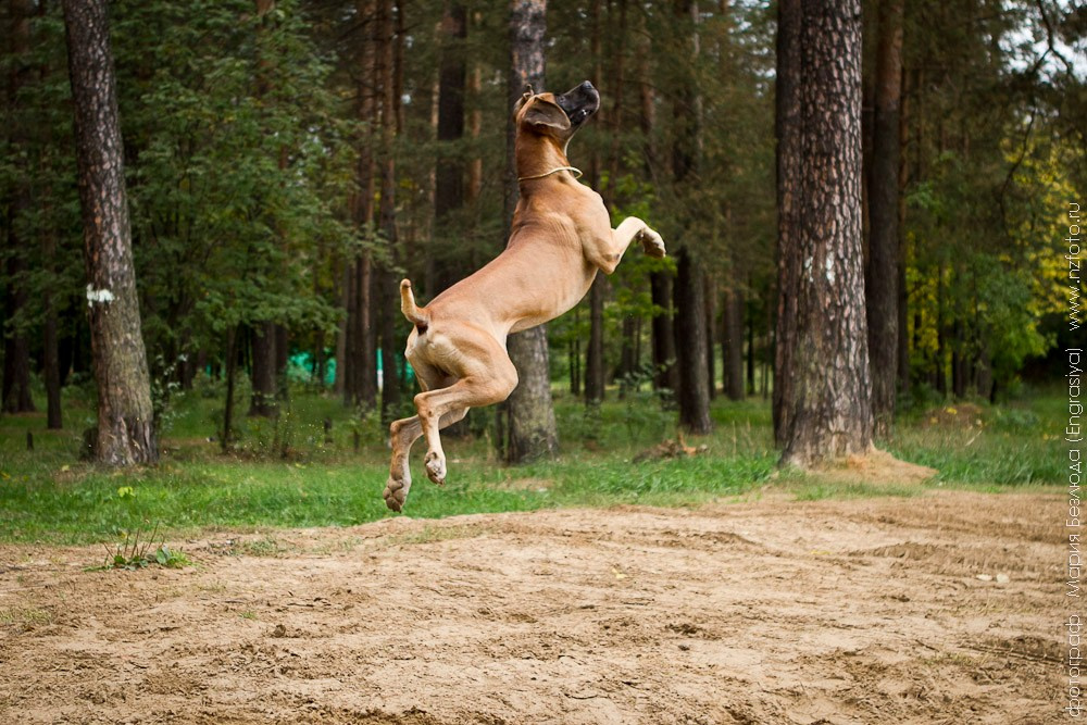 На природе. Семейный и детский фотограф в Москве Мария Быкова