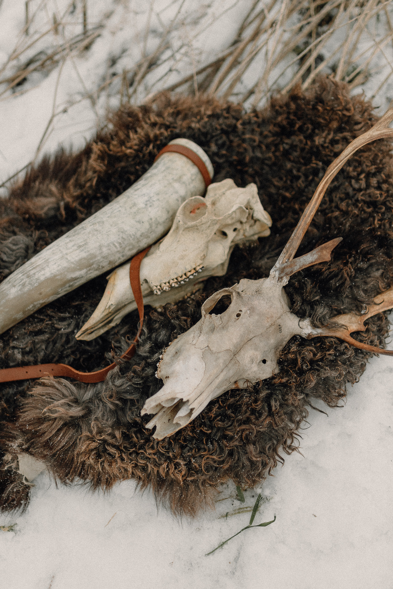 Скандинавские мотивы. Фотограф Елена Пожарова. Мурманская область, Апатиты, Кировск, Хибины