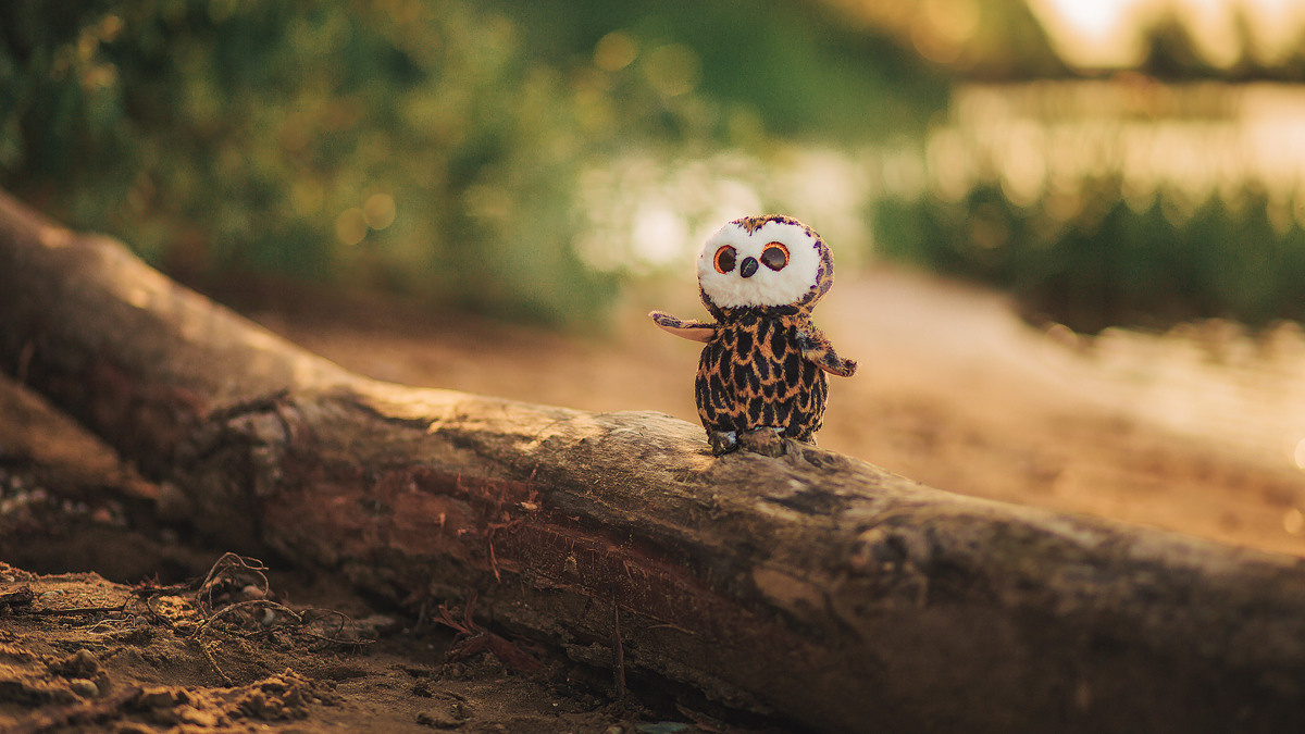 Сергей и Алёна. Нас уже четверо. Семейный, детский, свадебный фотограф по всей РБ Валера Михневич