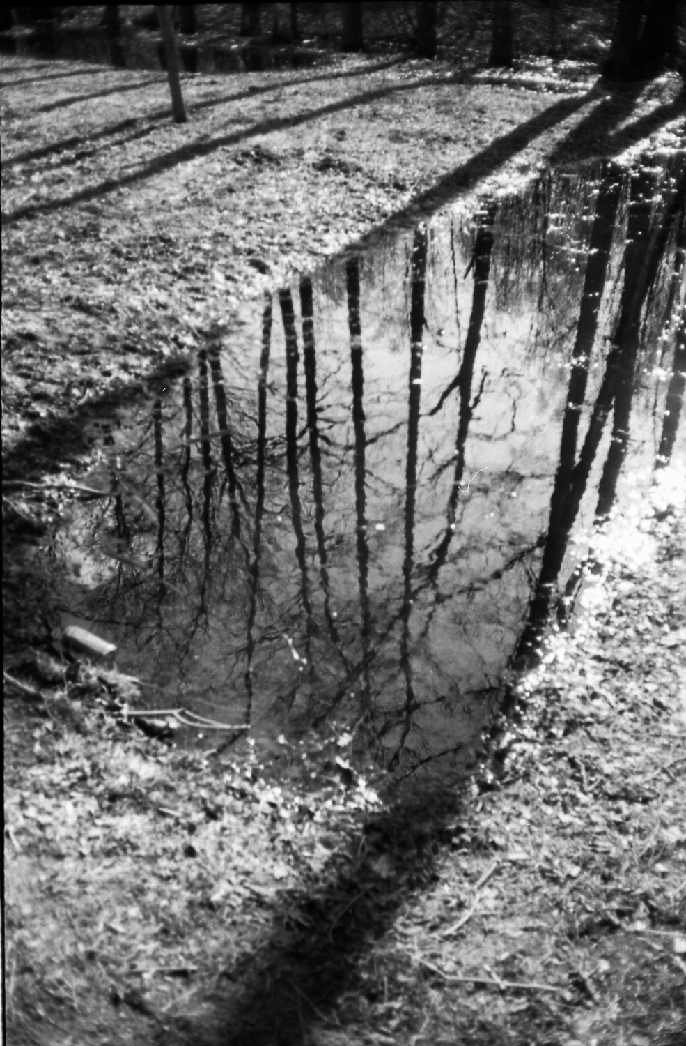 Visual diary (Pandemic). Фотограф Ника Оксенчук