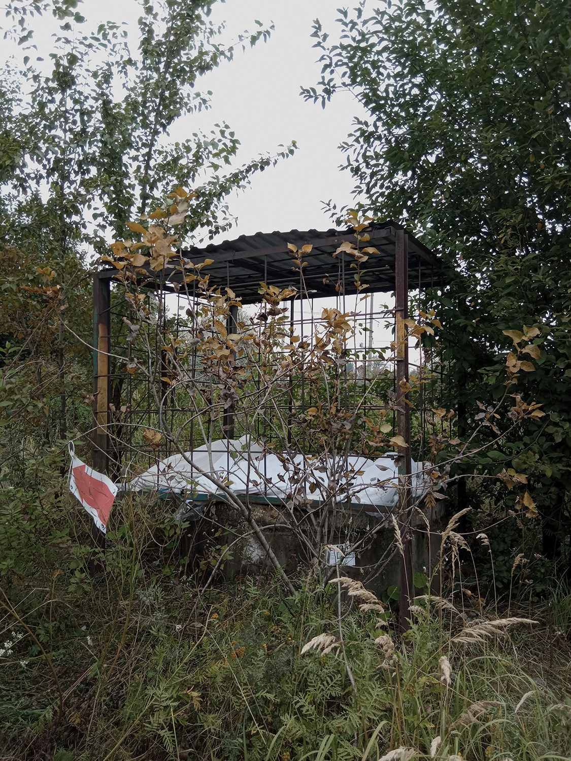 Красненькая биеннале 2025. Private image