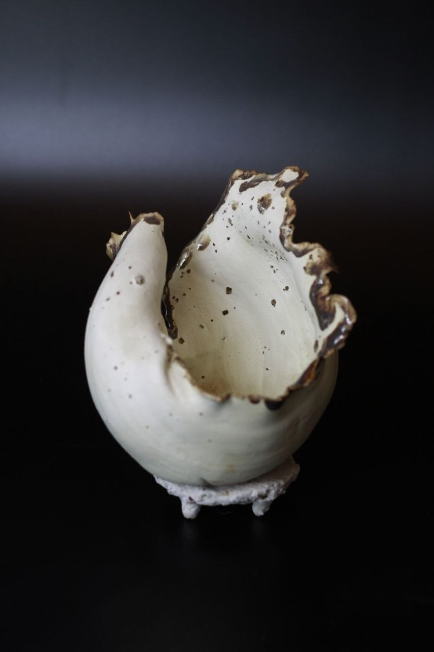 Разговоры о море. ARGILLA CERAMICS
