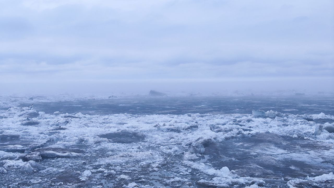 дачи, город, архитектура, стрит, репортажная фотография, фотография, Хабаровск, фотосессия, фотограф, дом, новостройка, улицы, жизнь города, town, art, photo, photographer, photo, Khabarovsk, Far East, street photo, природа, Дальний Восток, тайга, цветы, закат, небо, облака, nature, clouds, forest, flower, sunset