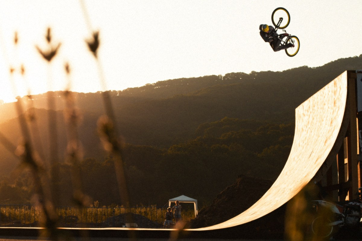 Random photo roulette. Bivol images