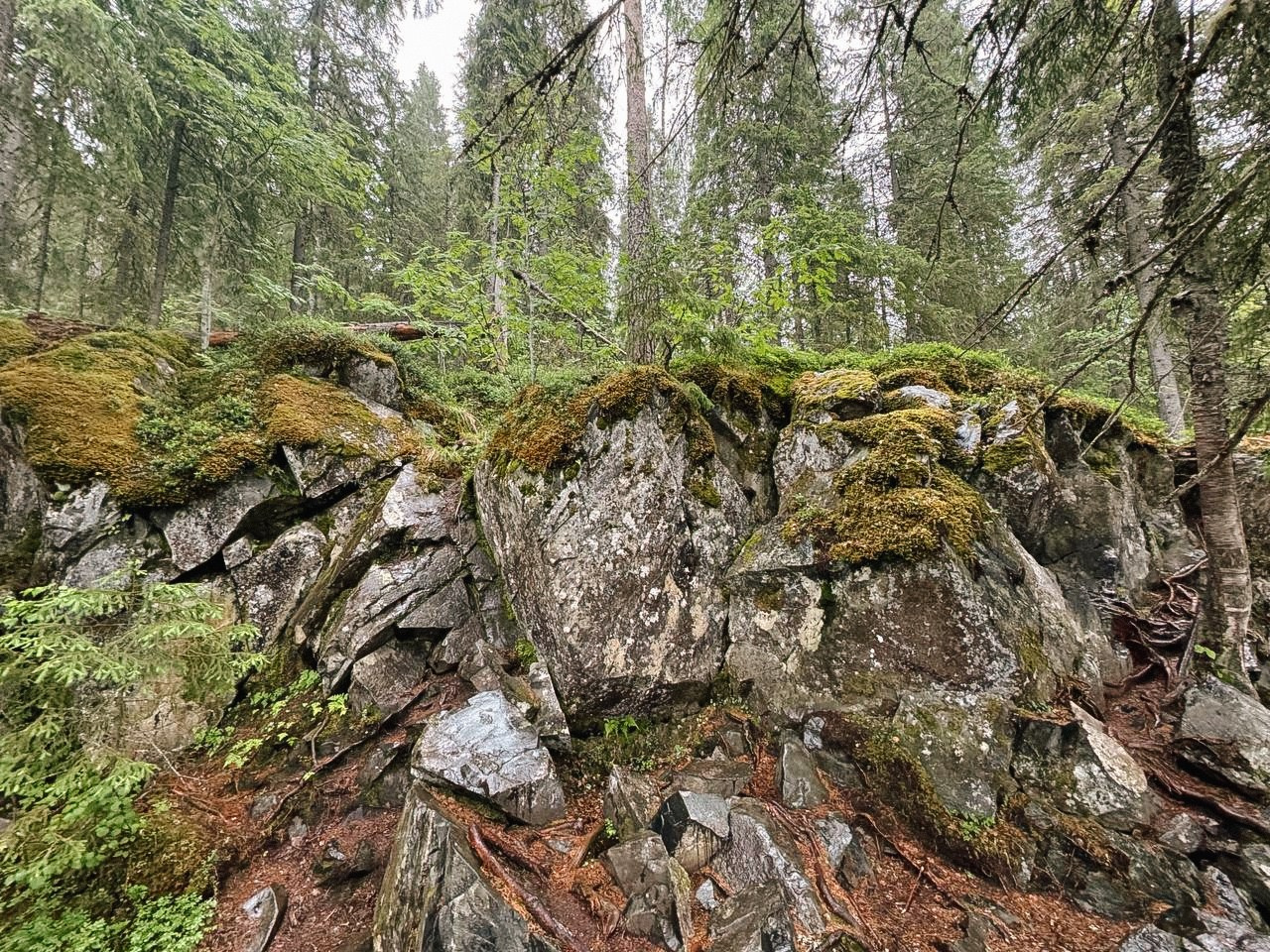 Карелия. Организатор Авторских Туров Жукова Алёна