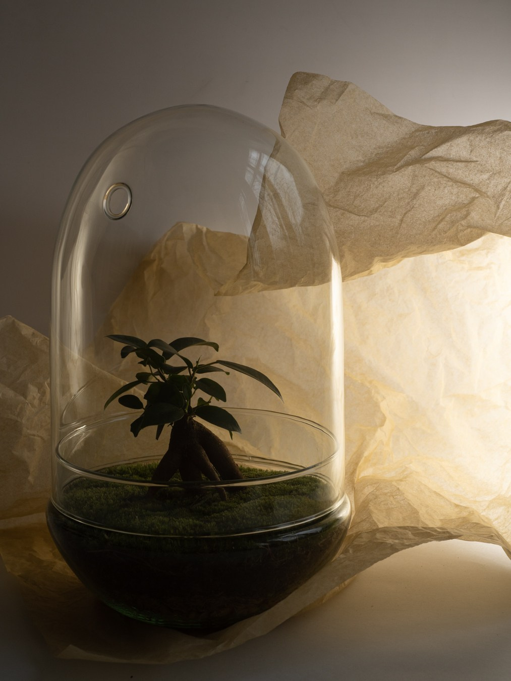 Домашний декор. Настасья Проценко. Фотограф