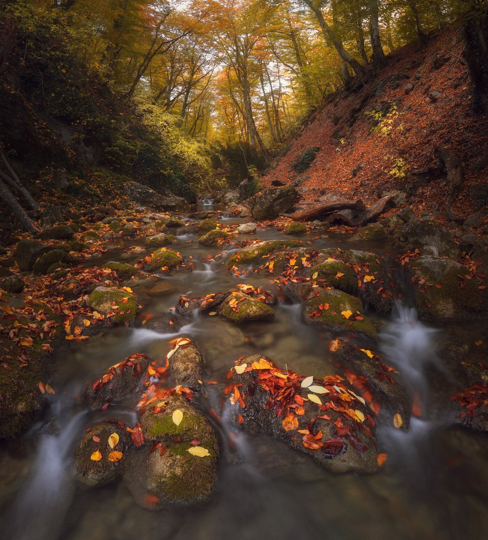Пейзажи. Предметный фотограф в Москве Вячеслав Тимошенко