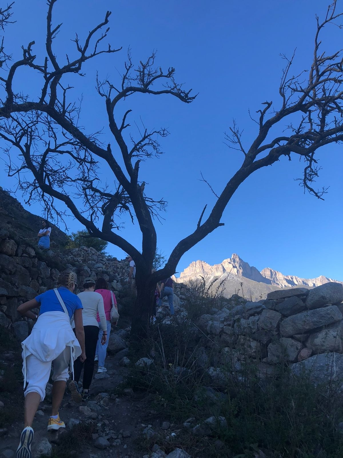 Кабардино-Балкария | 04-06.10.2024. Галерея Фантим