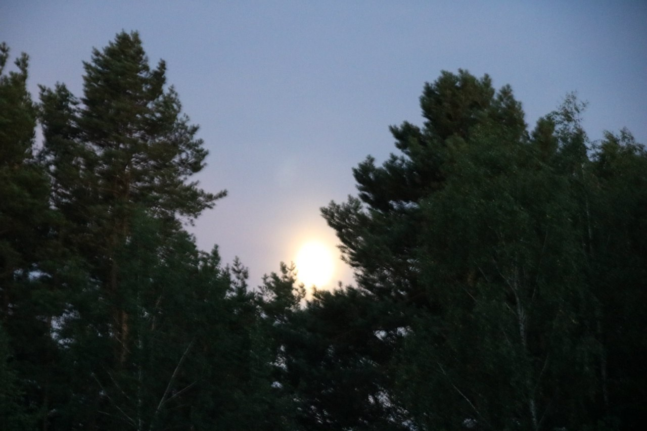 Походная романтика 19! Аццкий отжиг! | 15-17.07.2016. Галерея Фантим