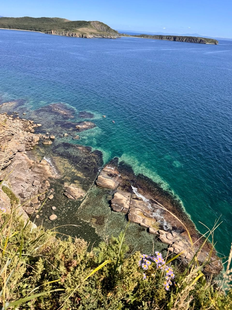 Владивосток 1 | 18-21.09.2025. Галерея Фантим