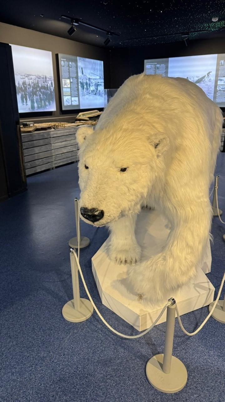 Архангельск | 08.05 — 11.05.2025. Галерея Фантим