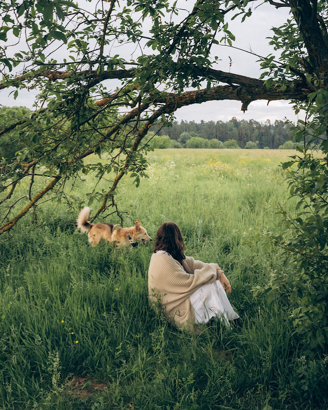 Соня и Кора. Фотограф анималист в Москве и Санкт-Петербурге Свиридова Анна