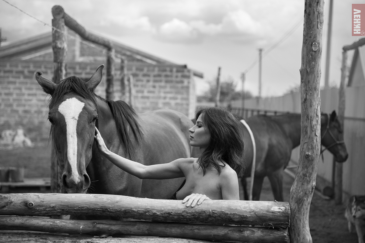 Конюшня…. Сергей Ленин