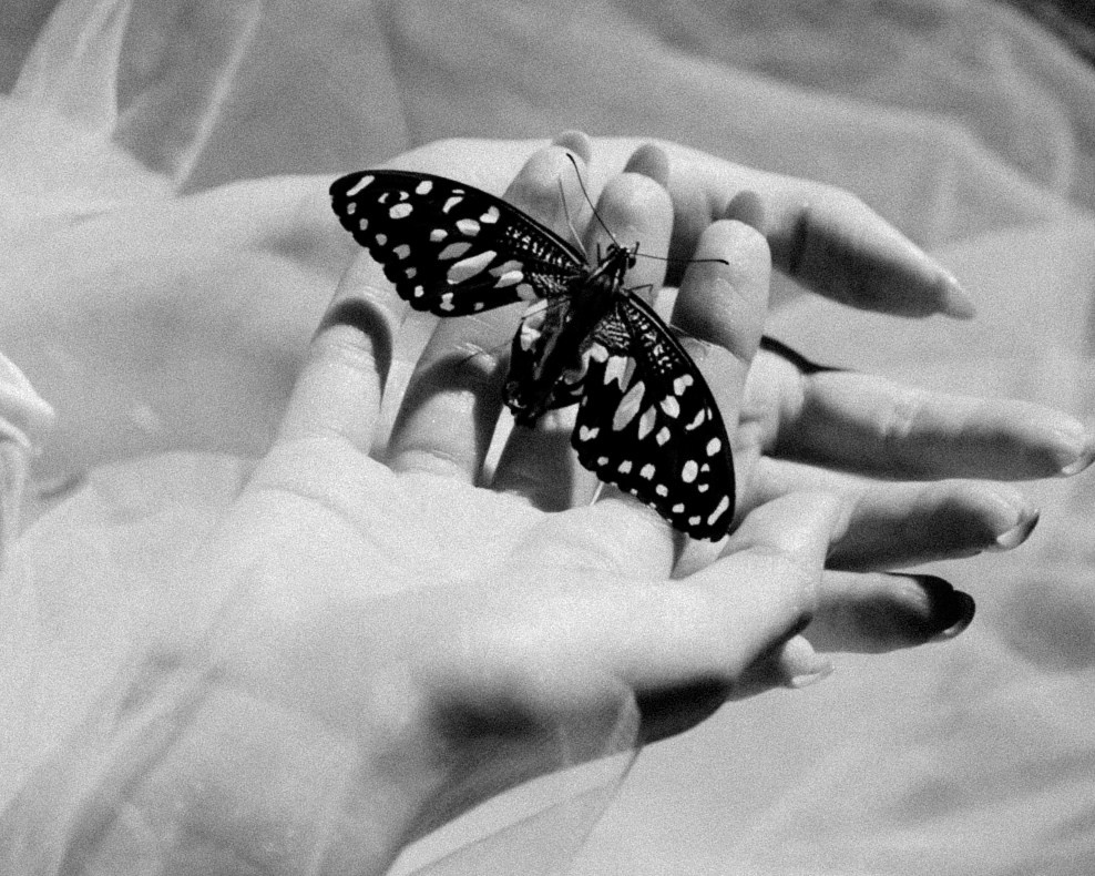 Эльфа. Портретный и семейный фотограф Владивосток Андрей Липатов