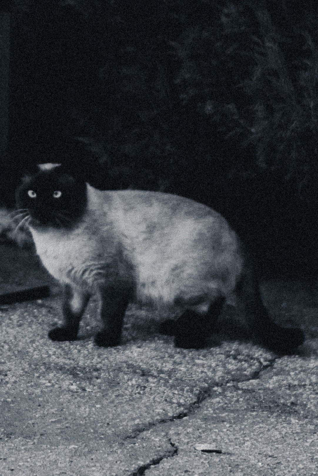 Другое. Jorgis Talè — photographer, kind person, teacher of arts and other mag