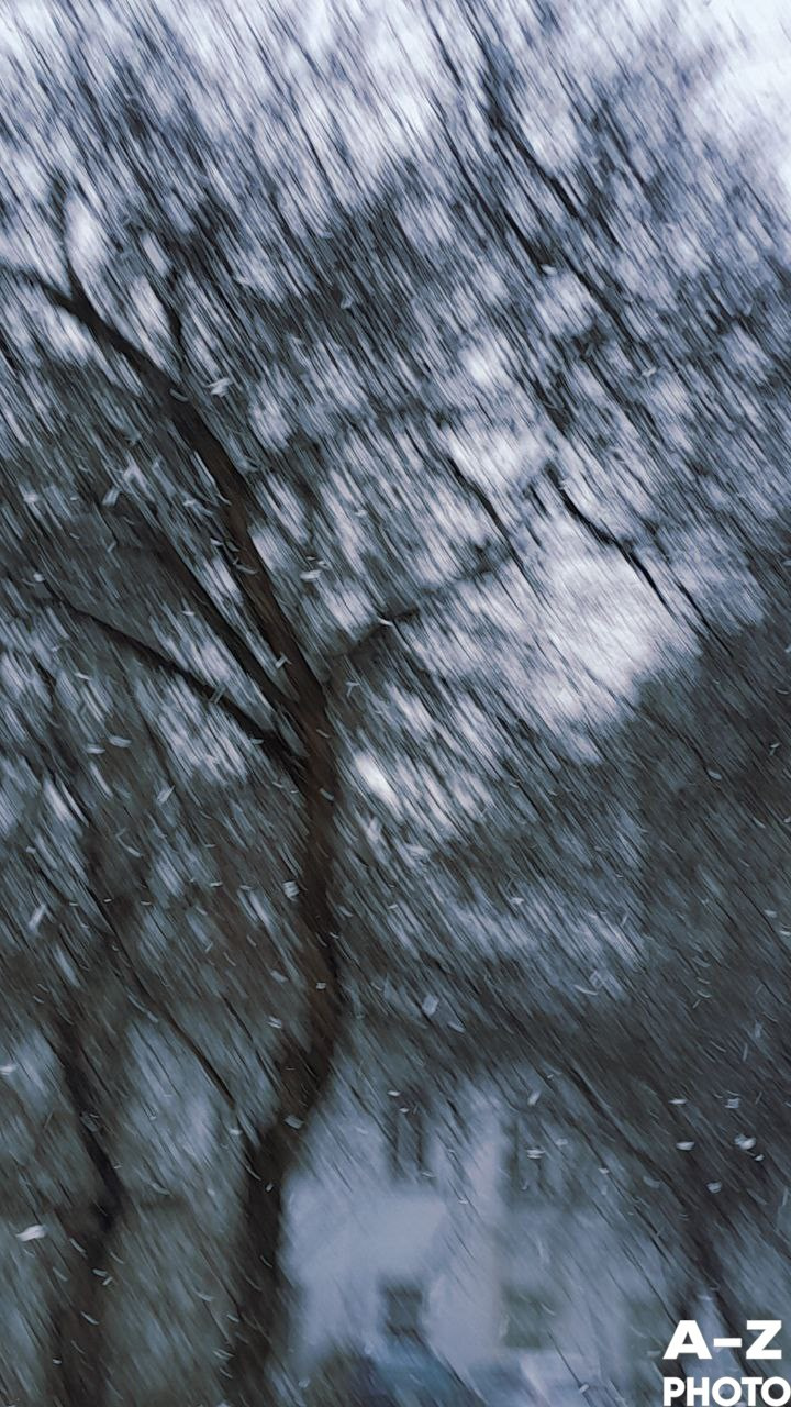 Фото недели 18.11.2025. Женский семейный фотограф Тула Москва Захарова Анна