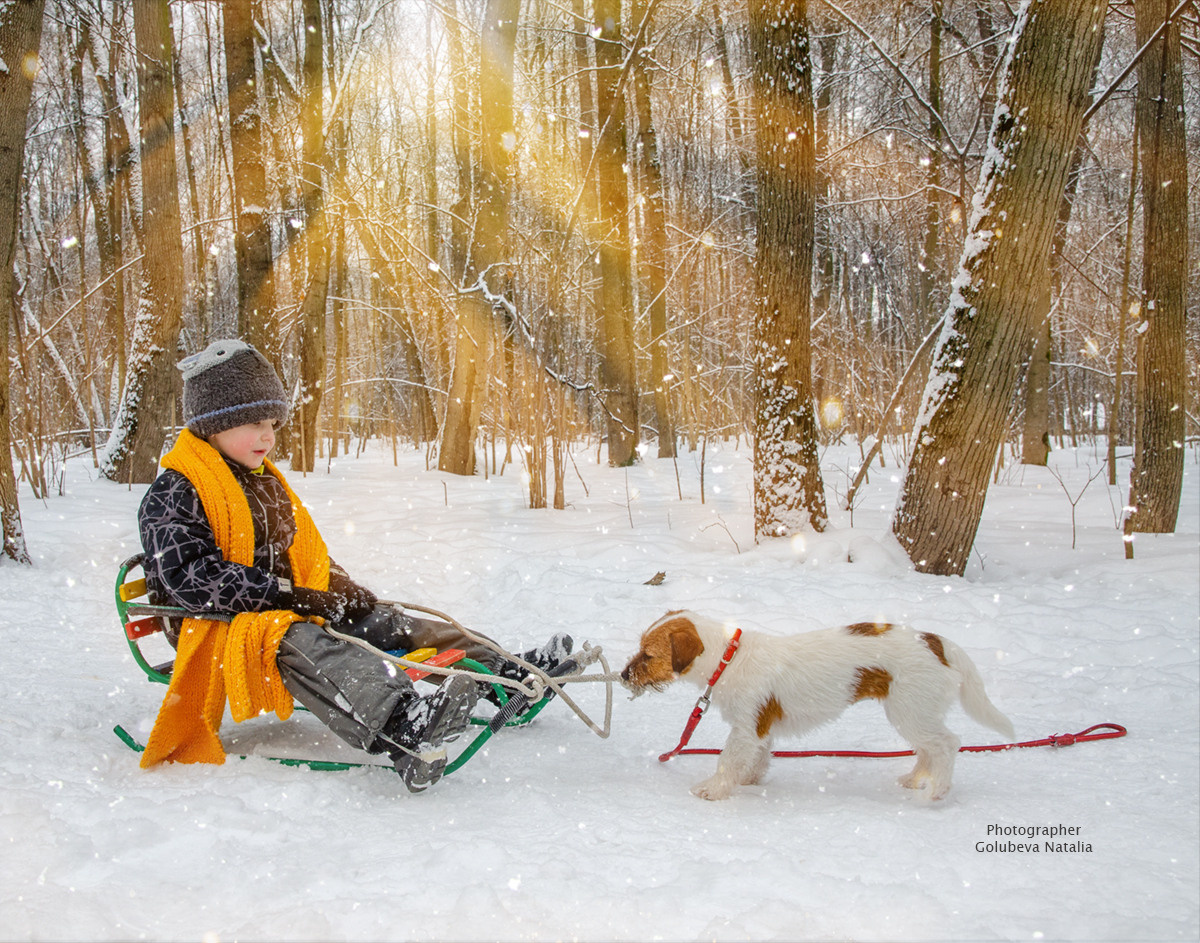 Новогодние фотосессии в Москве, фотограф Голубева Наталья. Семейный и детский фотограф в детских садах и школах