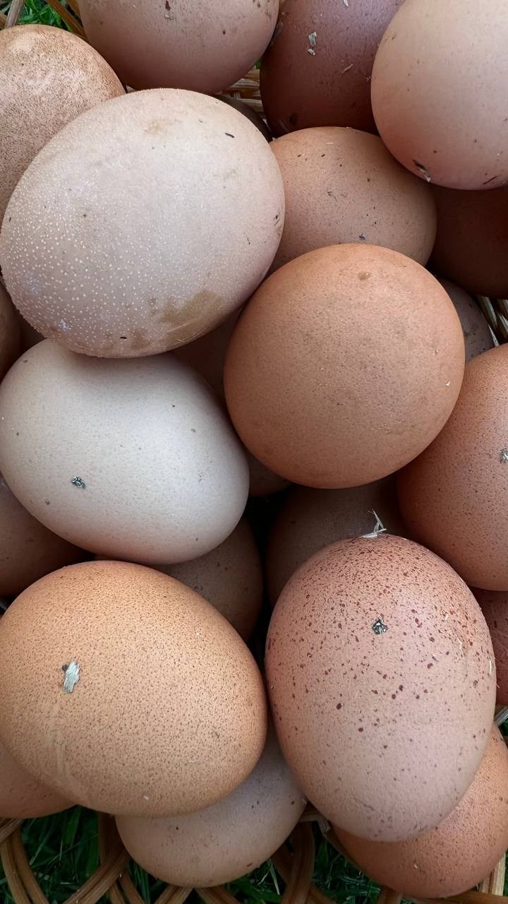 КУРС ПО ФОТО/ВИДЕО СЪЕМКЕ «СЧАСТЬЕ В ПРОСТОМ». Фотография. Визуально-чувственный мир души