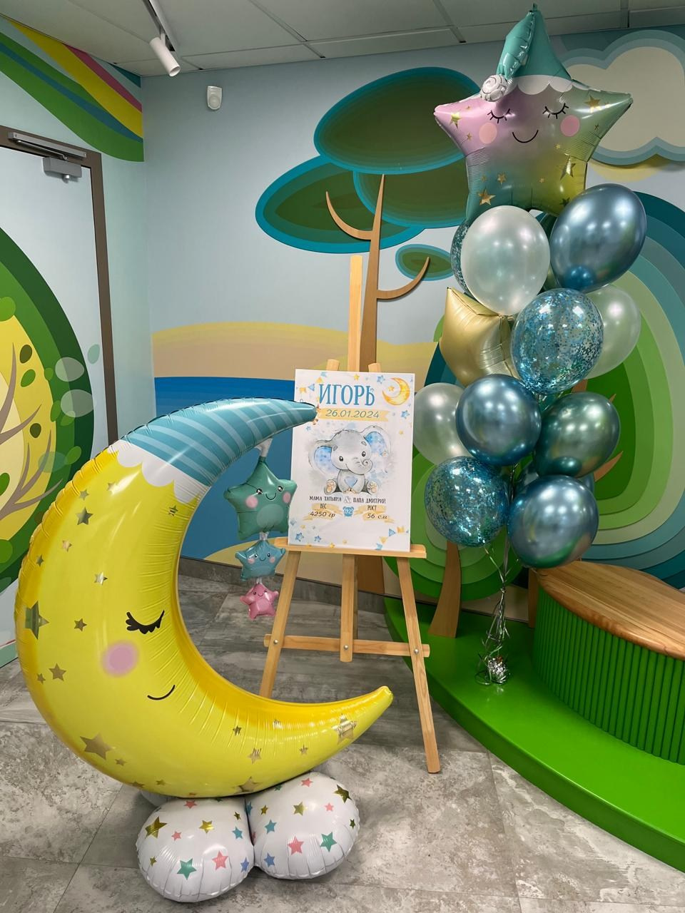 Фотограф в роддоме Сестрорецком г. Санкт-Петербург Банасиковская Ксения